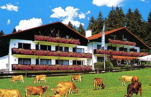 Apartamento Farchanter Alm