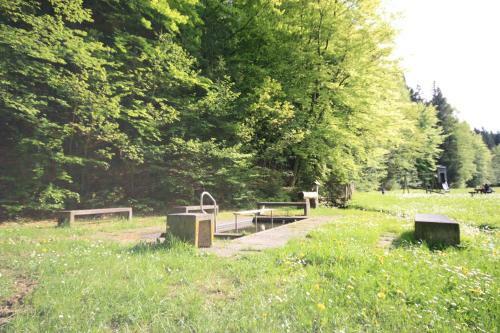 Hostal Pension Liesbachtal