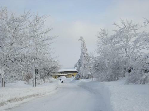 Hostal G�stehaus Hochrh�nblick