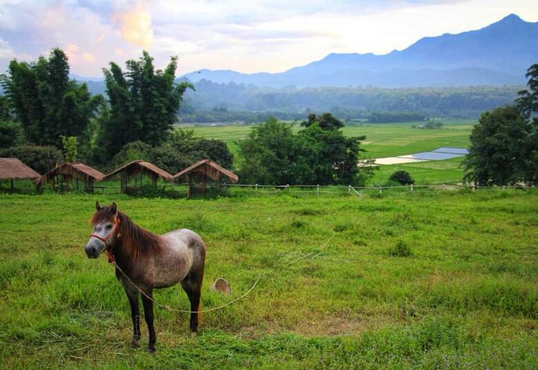 Hotel Phrao Camping Village