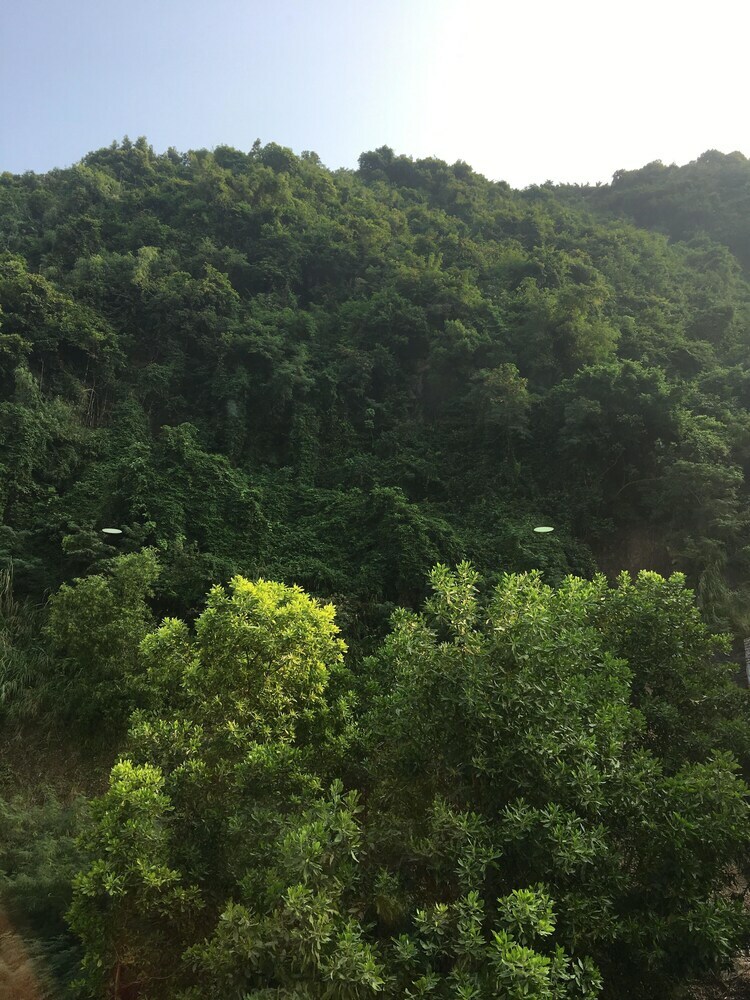 Cannon Fort Cat Ba Hotel