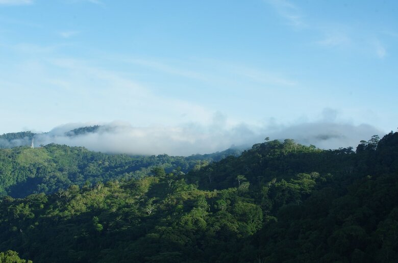 Posada Osa Mountain Village Eco Lodge