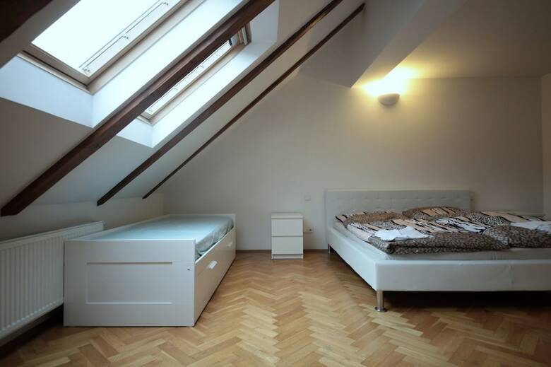 Generous Attic Apartment