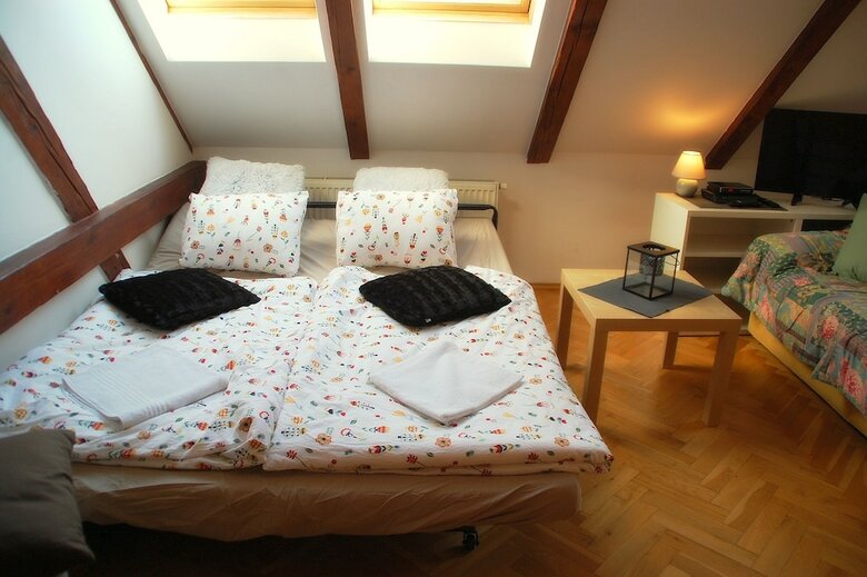 Generous Attic Apartment