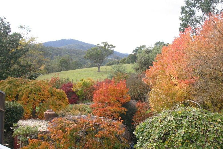 Bed & Breakfast Riverhouse At Howqua Dale