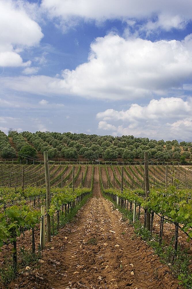 Agroturismo Bodega Do�a Felisa