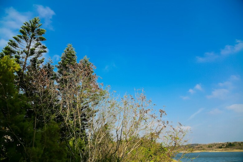 Hotel Island Nook B&B Penghu