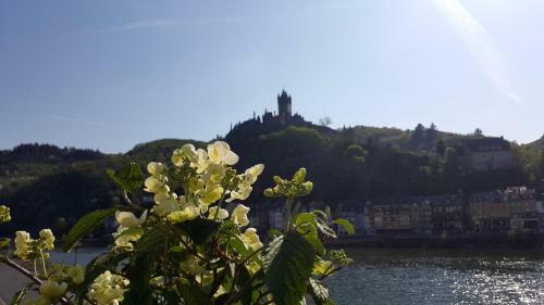 Hostal Pension Regina/gr�fenhaus