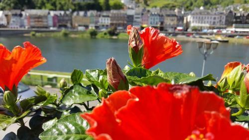Hostal Pension Regina/gr�fenhaus