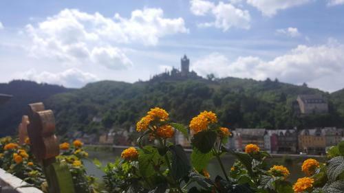 Hostal Pension Regina/gr�fenhaus
