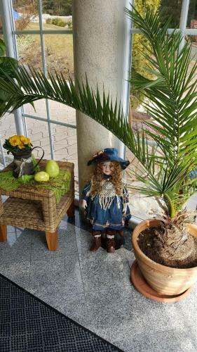 Hotel Wellness Resort Romantika