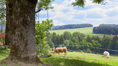 Naturhotel Gidibauer-hof