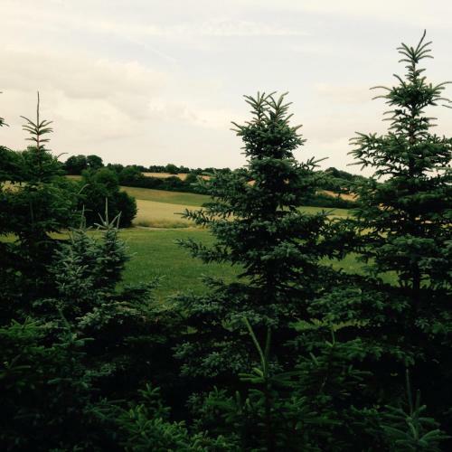 Hotel G�stehaus Hannelore