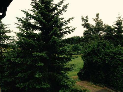 Hotel G�stehaus Hannelore