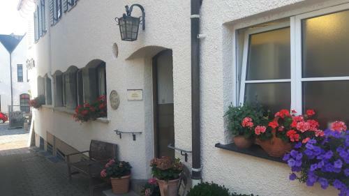 Hotel Gasthof Traubenbr�u