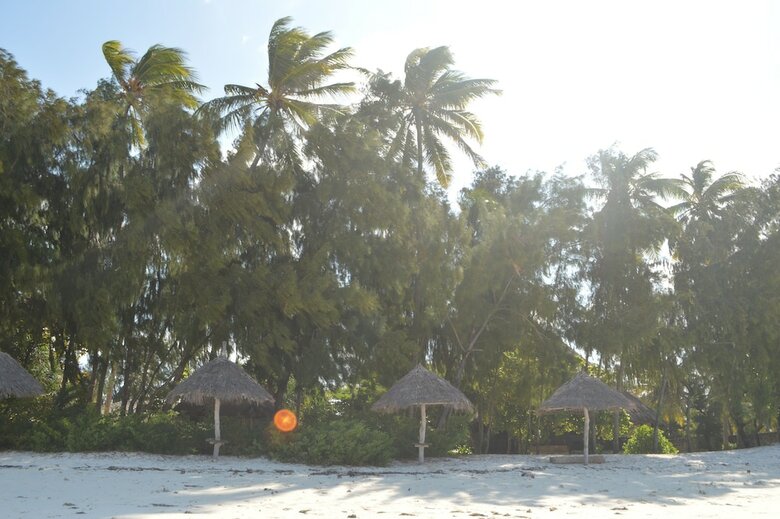 Bed & Breakfast Zanzibar Dream Lodge