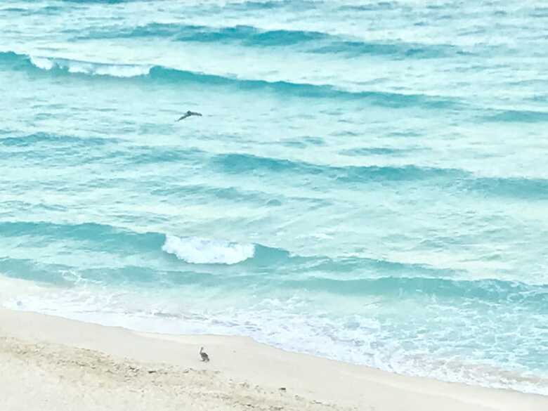 Ocean View Apartments ? Delicia