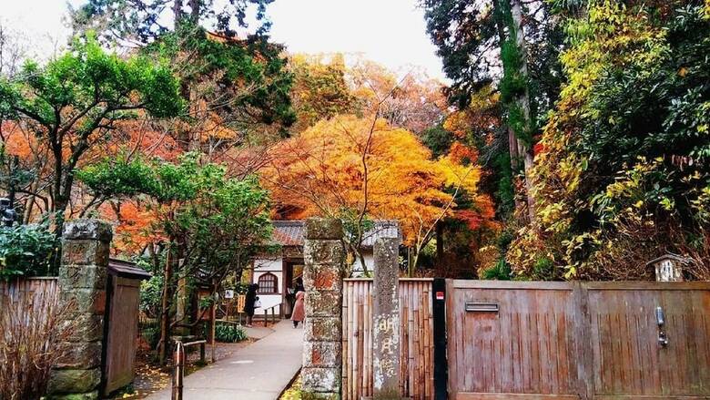 Hotel Guesthouse Irodori Kamakura