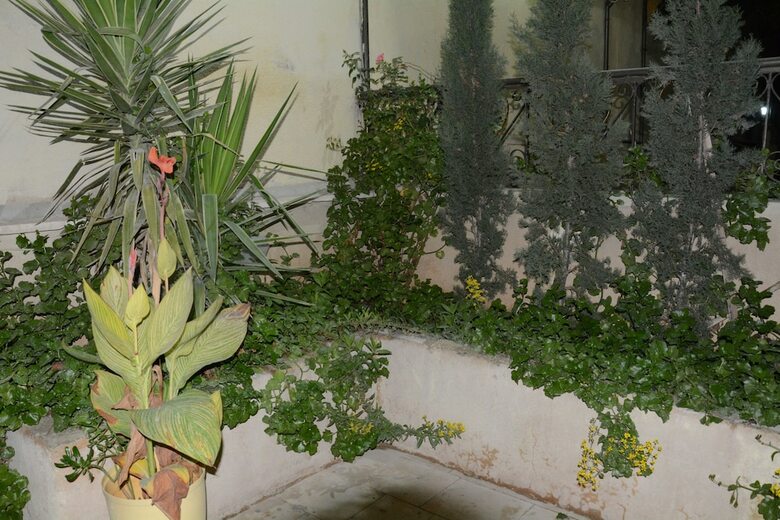 Aparthotel Jasmine Leaves Hotel Apartment