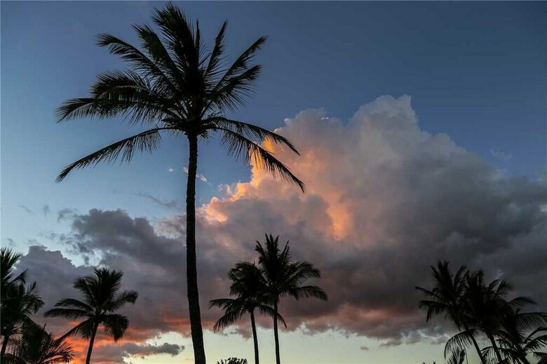Maui Kamaole #c-207 - 2 Br Condo