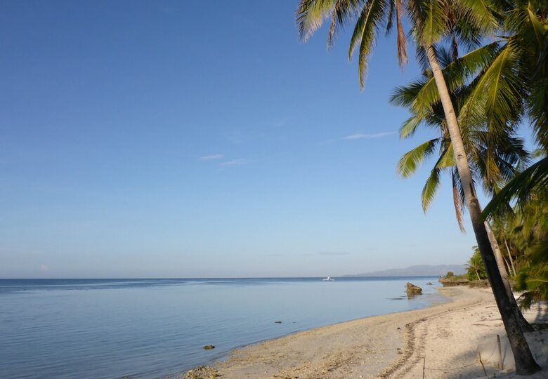 Hotel Island View Beachfront Resort