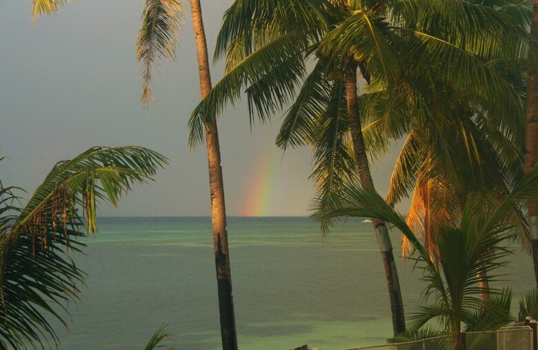 Hotel Island View Beachfront Resort