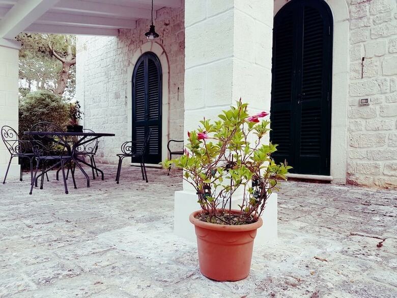 Villa Cenzina B&B