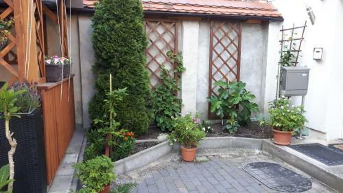 Apartamento Vor Den Toren Dresdens