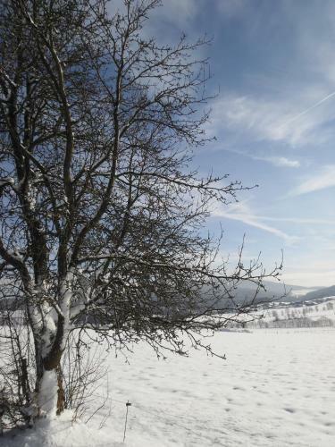 Hostal Gasthof-pension-kraus