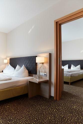Hostal Hotel Restaurant Erber