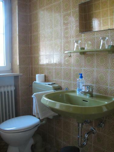 Hostal G�stehaus Alpenland