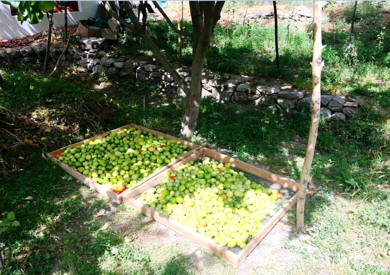 Hotel Tih A O Guest House & Home Stay
