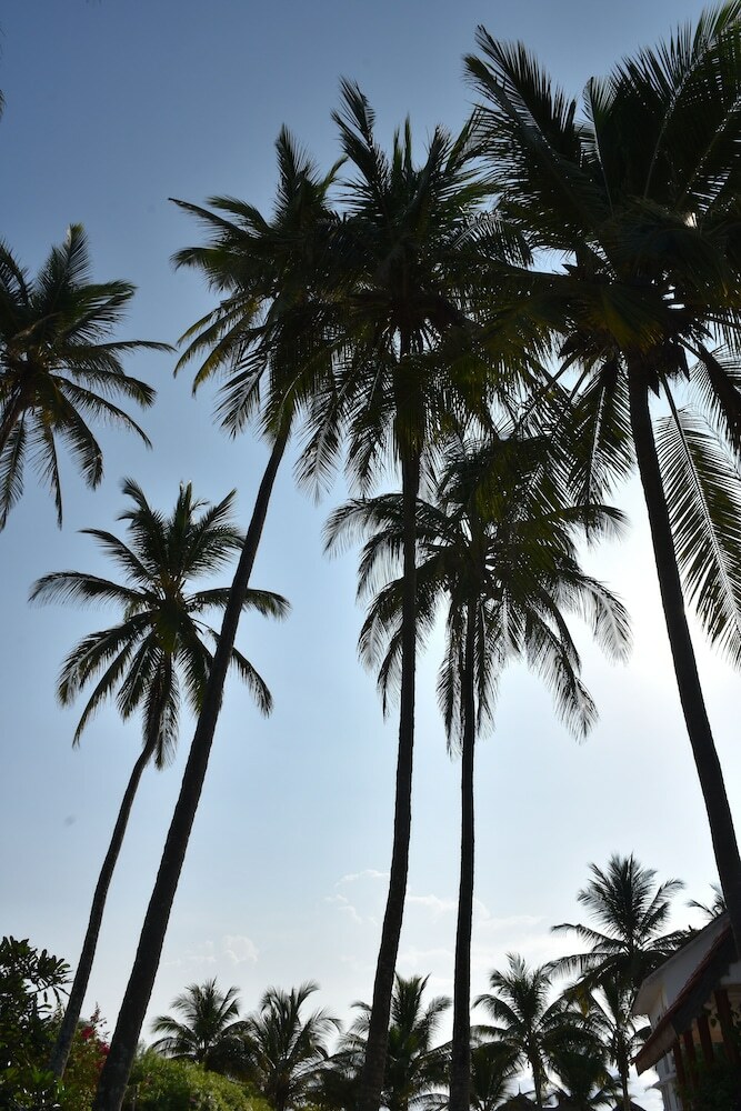 Pwani Silver Sand Beach Hotel