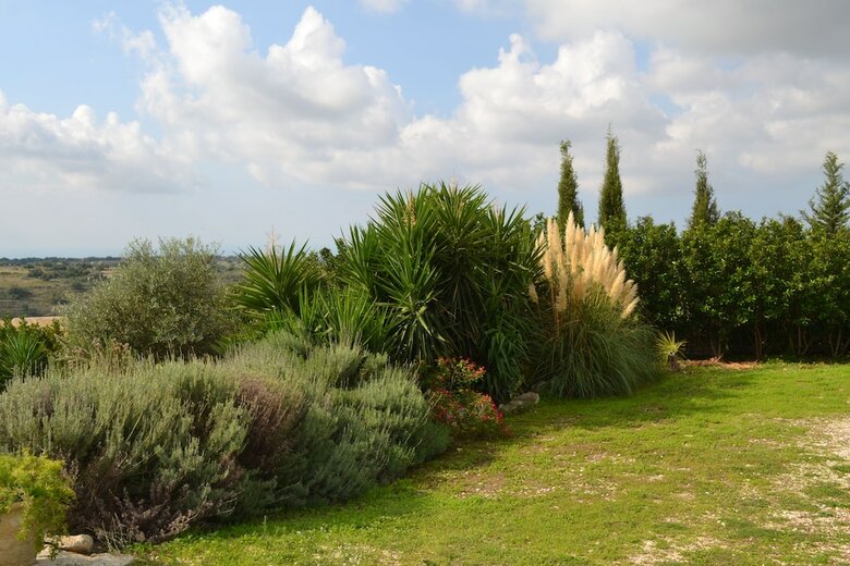 Hotel Antica Masseria Timparuci