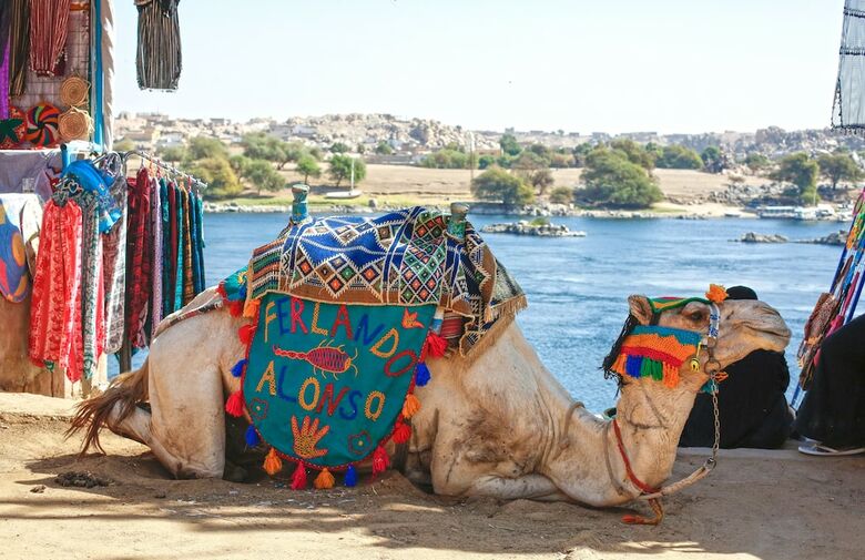 Hotel Kato Dool Nubian House