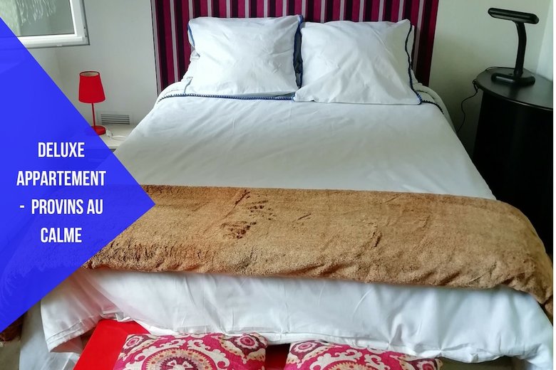 Deluxe Apartment Provins