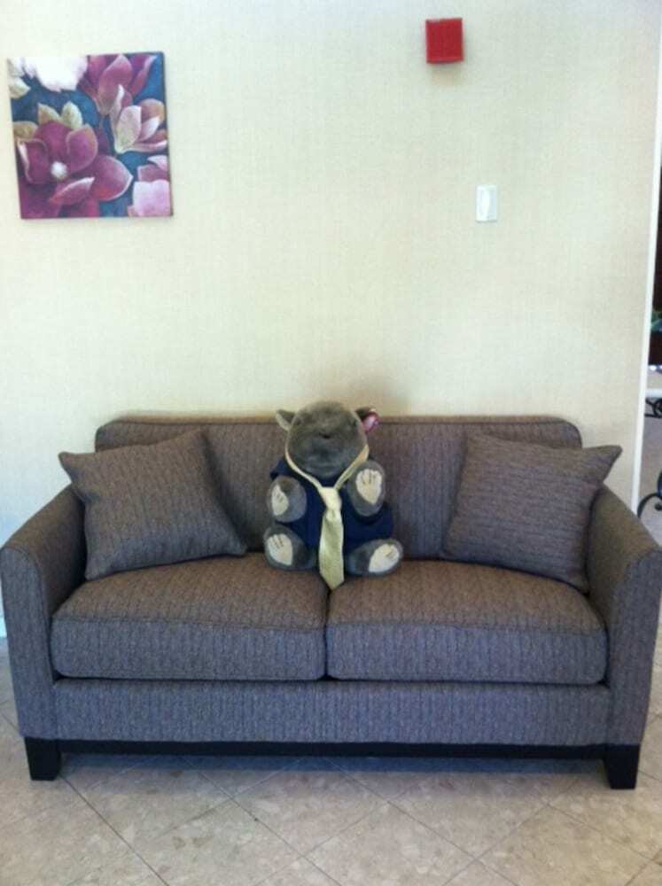 Hotel Best Western University Inn