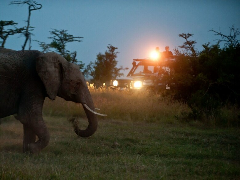 Kicheche Laikipia Camp - All Inclusive