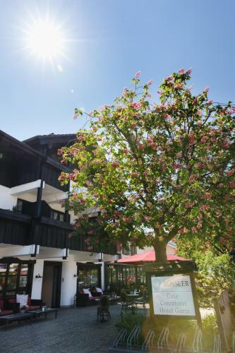 Hostal G�stehaus R�ssler