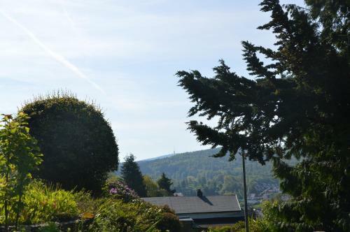 Apartamentos Bergpanorama-schenke