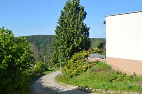 Apartamentos Bergpanorama-schenke