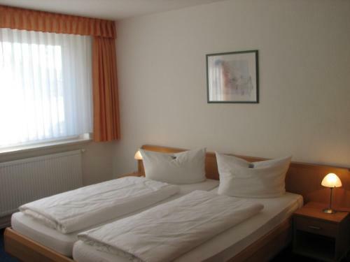 Hostal Hotel- Und Ferienwohnanlage Friedrich