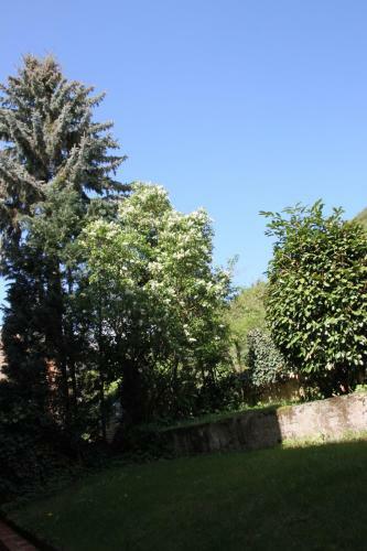 Hostal Hotel Und G�stehaus Gute Quelle