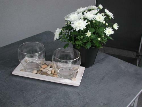 Apartamento Ferienwohnung Pusteblume