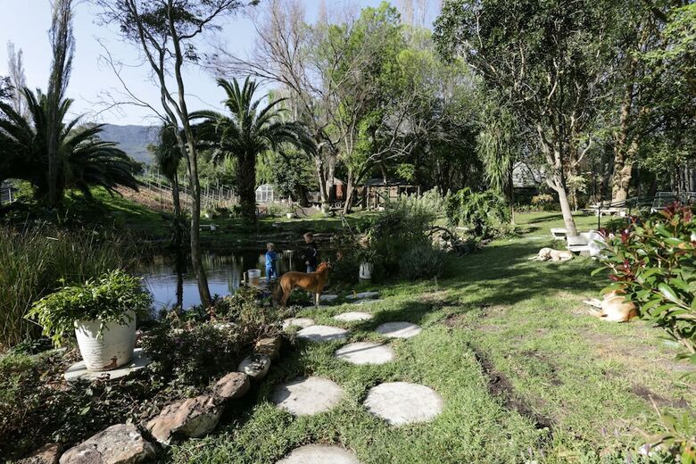 Apartamentos Waterland