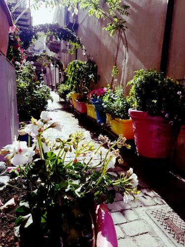 Apartamento Lo Nardo Accommodation