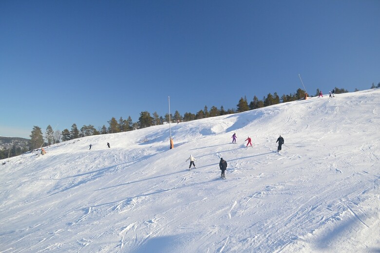 Aparthotel Ski Lodge & Apartments Gautefall