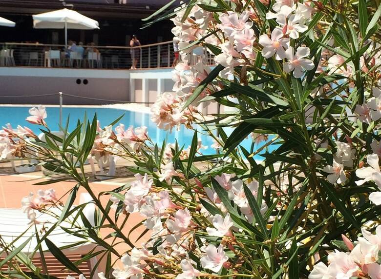 Hotel Free Beach Club