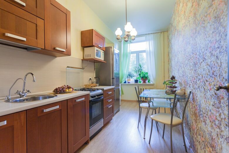 Spacious Aparts Near Mariinsky Theatre