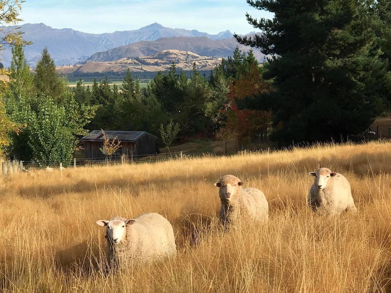 Hotel Mitchella Farm Bed & Breakfast